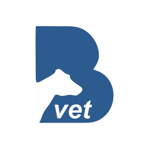 b vet