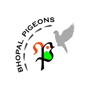 bhopal pigeons